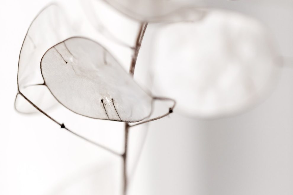 mathieu-perrier-DH1cJ34LL34-unsplash