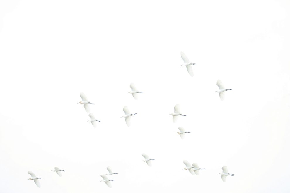 tomoko-uji-zpHcS2PEz-Q-unsplash